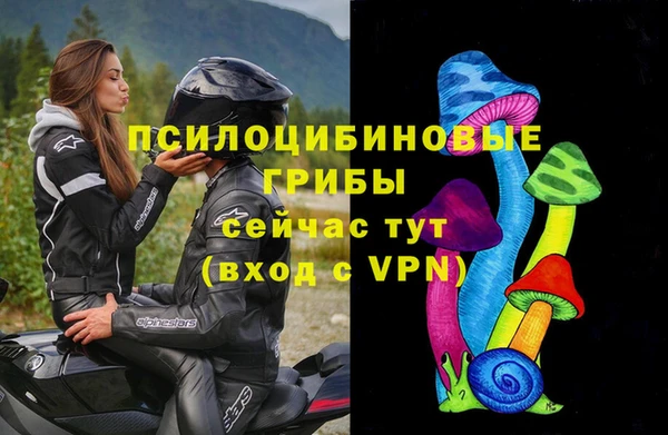 spice Куйбышев